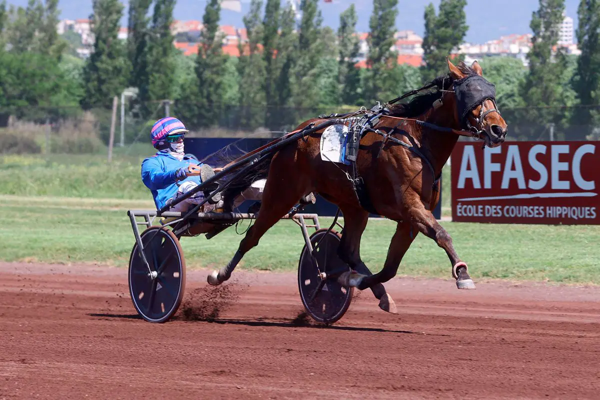 Victoire de Malice d’Atout à Marseille