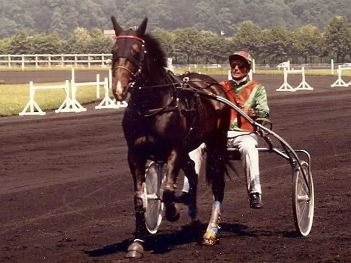 NOBLE ATOUT