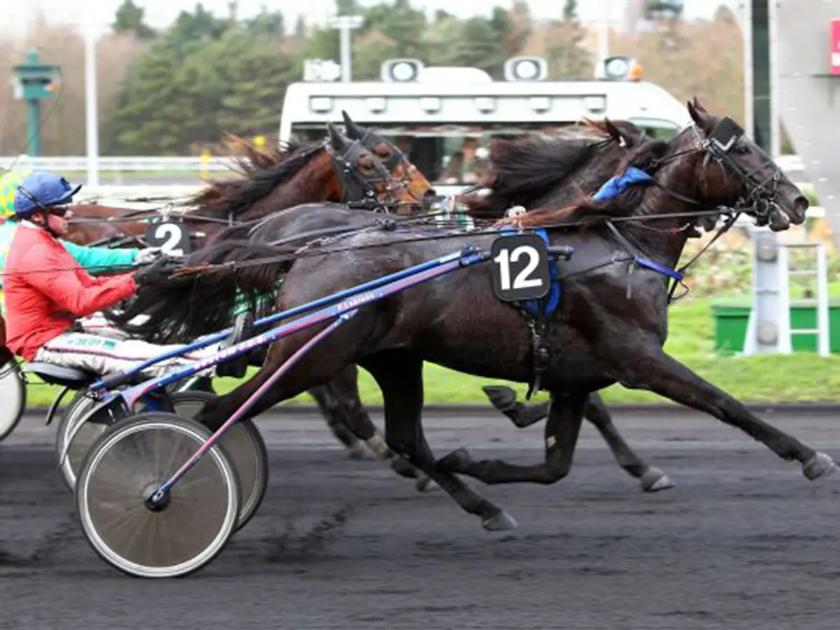 BLACK ATOUT