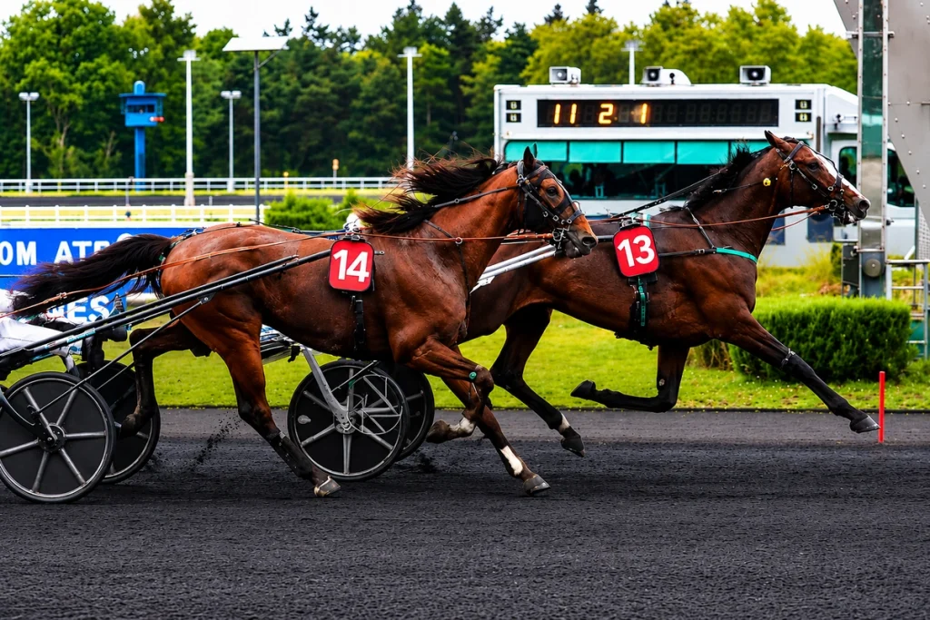 Victoire à Vincennes de Maharaja Atout