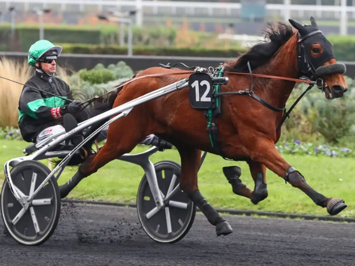 MARION D&rsquo;ATOUT
